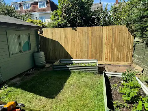 New fence behind raised vegetable beds and a shed